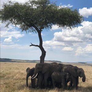 Meet your Posher, Angela